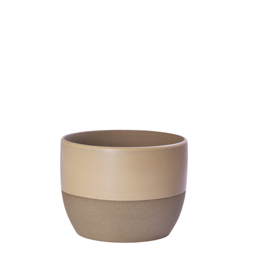 CACH.RED.BOWL GR TERRA PESSEGO