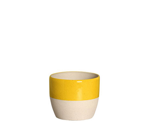 CACH.RED.BOWL GR TERRA AMARELO