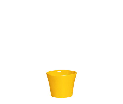 CACH. RED. SINO MD AMARELO