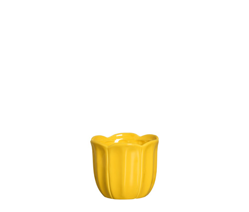 CACH. RED. PÉTALAS CRISÂNT. AMARELO