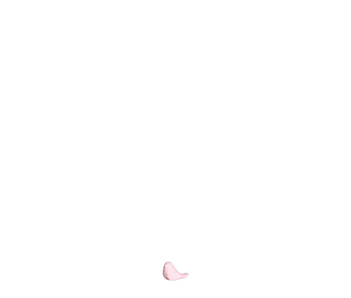 ADORNO PASSARO MICRO ALGODAO DOCE ROSA