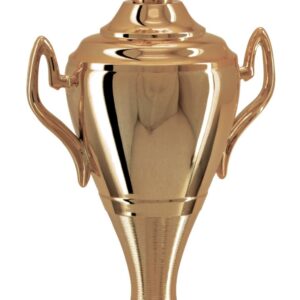 Troféu tradicional de competição