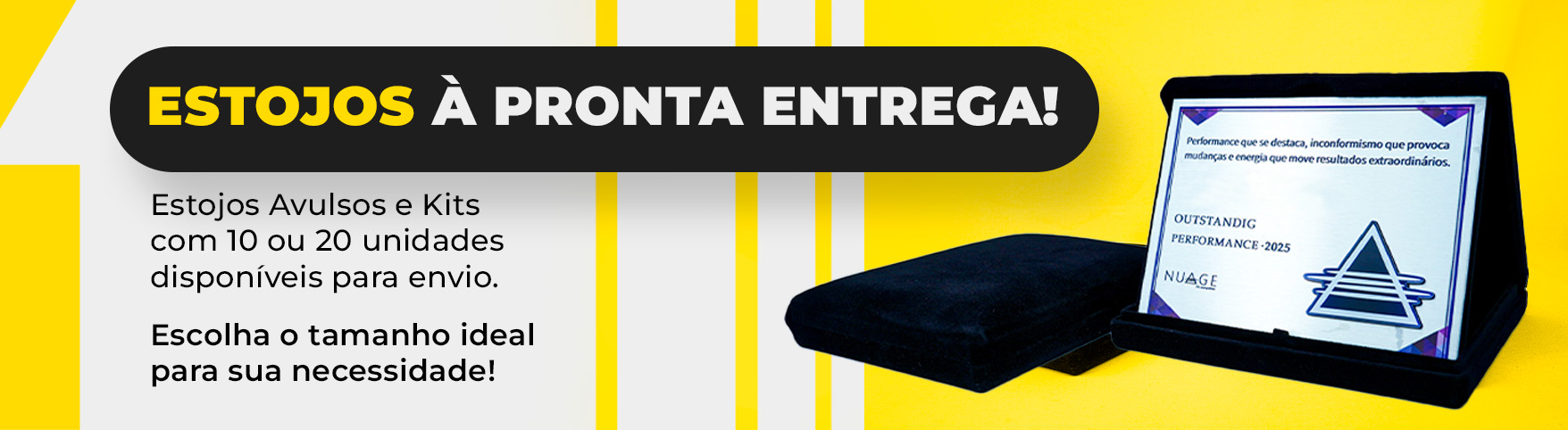 Kit com 10 Estojos
